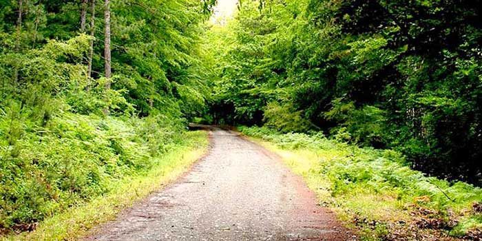 kazdağı şahindere kanyonu jeep safari turu